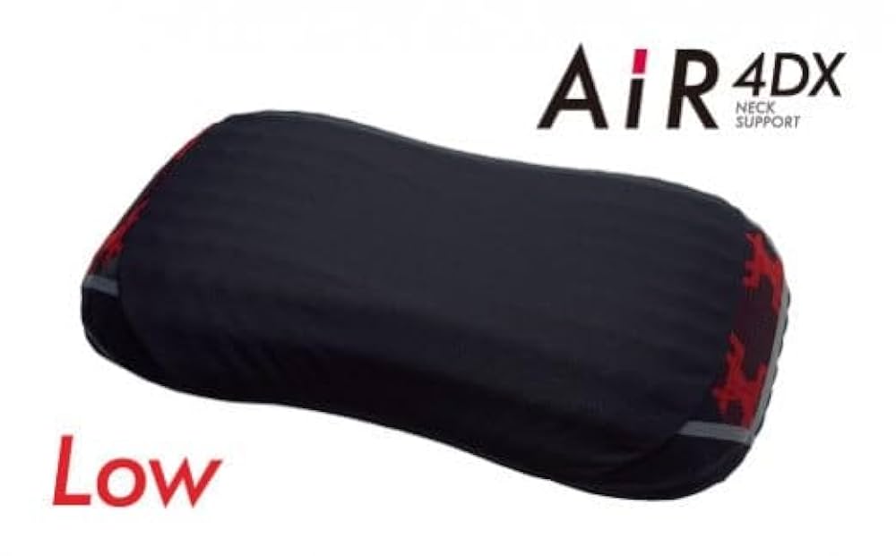 西川 Air 4DX / Low 東京西川 エアー4D ピロー 低め (枕) 価格比較 - 価格.com